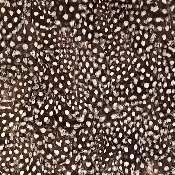 Elizabeth and James Feather Mini Skirt - Picture 6 of 12